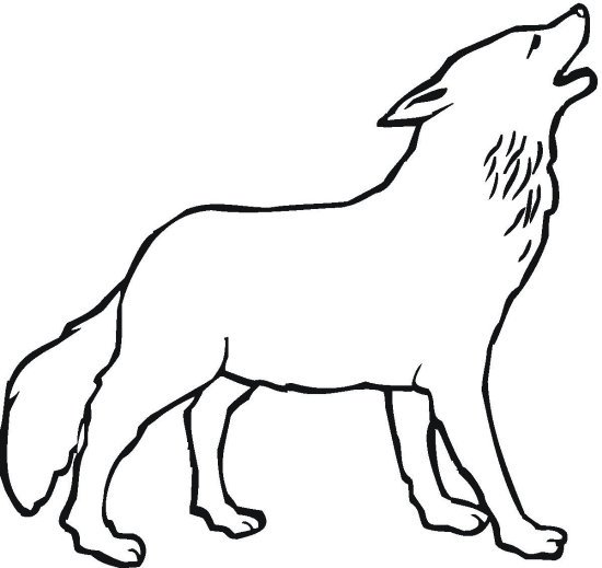 vlk_9