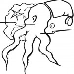chobotnice_01