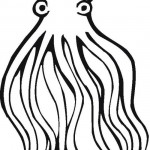 chobotnice_03