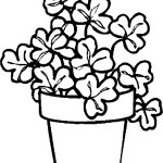 den_sv_patrika_60