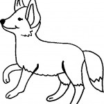 liska_10