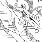 spiderman_55